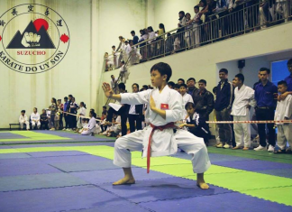 Võ thuật và trí não có liên quan gì tới nhau?